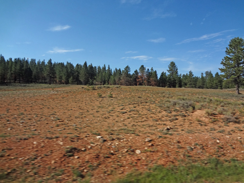 scenery while on the ATV Ride